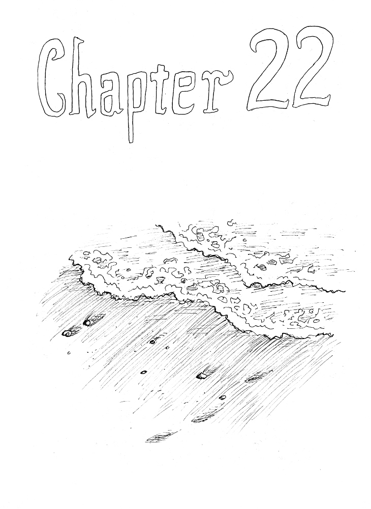 Chapter 22 P251